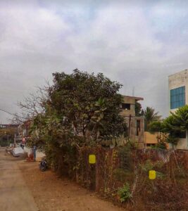 plot for sale in gwarighat