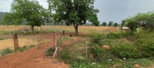 Agriculture Land for Sale Jabalpur
