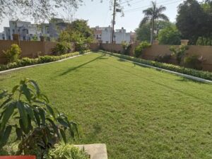 Garden triangle